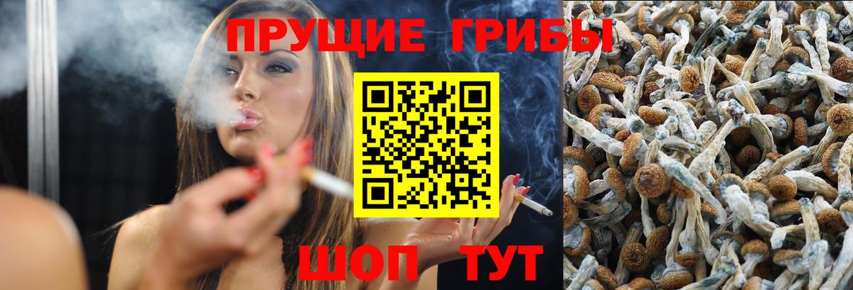 Псилоцибиновые грибы прущие грибы  Псилоцибиновые грибы мицелий  Родники  Вход с VPN 